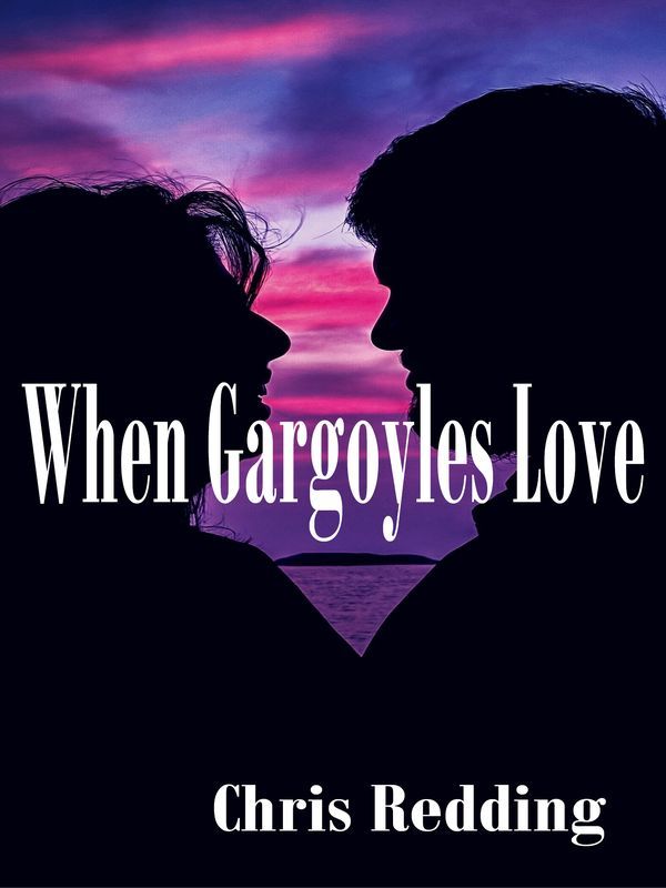 When Gargoyles Love Book