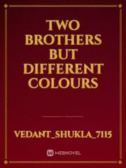 Two Brothers But Different Colours Book