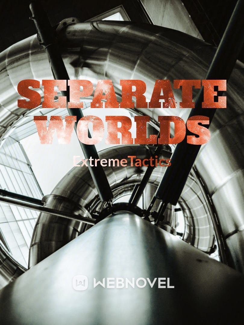 Separate worlds Book