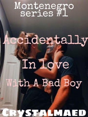 ACCIDENTALLY IN LOVE WITH A BAD BOY Book