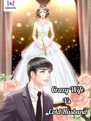 Crazy Wife Vs Cold Husband Book