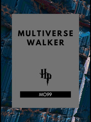 MultiverseWalker Book
