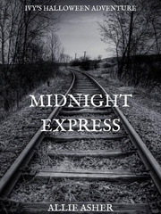 Midnight Express Book