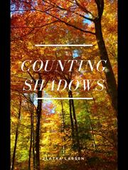 Counting Shadows Book