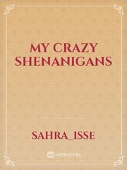 my crazy shenanigans Book