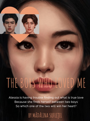 The Boys Who Loved Me Book