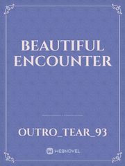 Beautiful Encounter Book