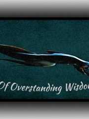Of Overstanding Wisdom Book