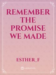 Remember the Promise we made Book