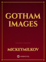 Gotham images Book