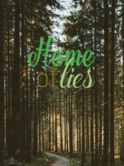 Home with lies Book