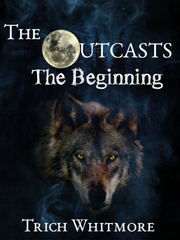 The OUTCASTS- The Beginning Book