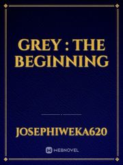 GREY : THE BEGINNING Book