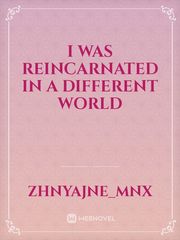 I Was Reincarnated In A Different World Book