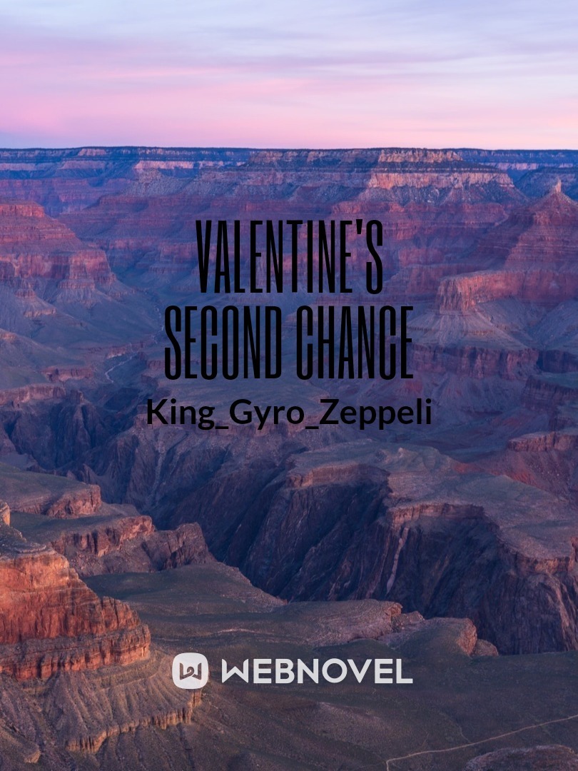 Valentine's Second Chance Book