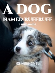 A dog named RuffRuff Book