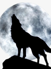 Tales from the wolf pack: Fall of the Red Wolf Book