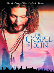 The Gospel of John Book