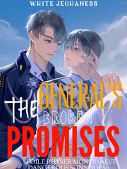 DSS3: THE GENERAL’s BROKEN PROMISES Book