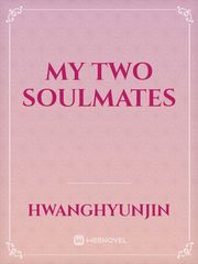 My Two Soulmates Book
