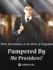 Pampered By Mr President! Book