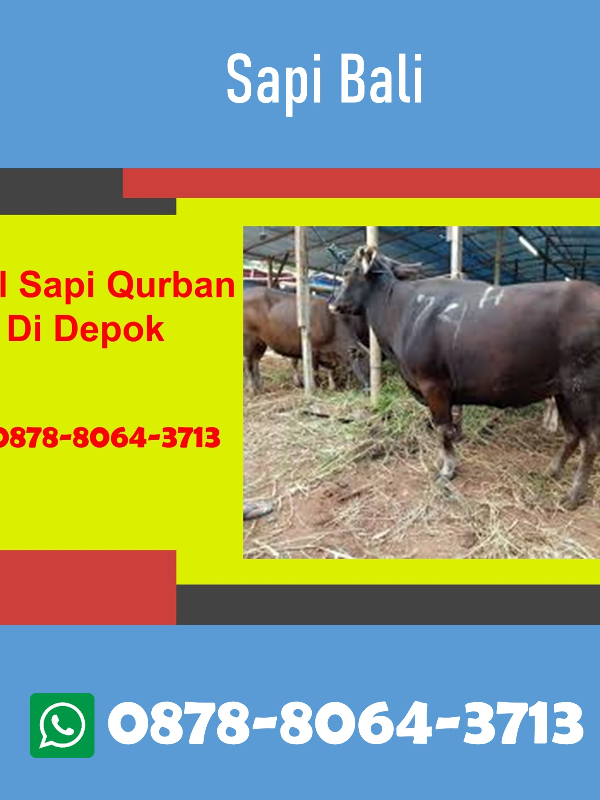 WA 0878-8064-3713, Jual Sapi Qurban Cisalak Pasar Depok Book