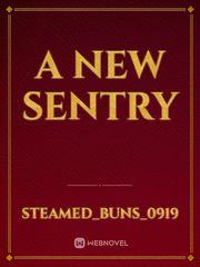 A New Sentry Book