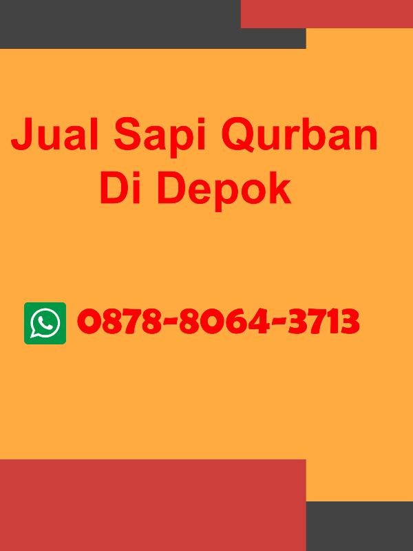 WA 0878-8064-3713, Jual Sapi Qurban Bojong Pondok Terong Depok