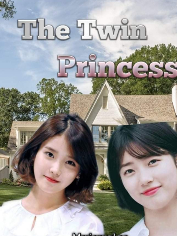 The Twin Princess Book