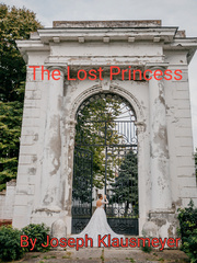The Lost Princess - A Fairy Tale Book