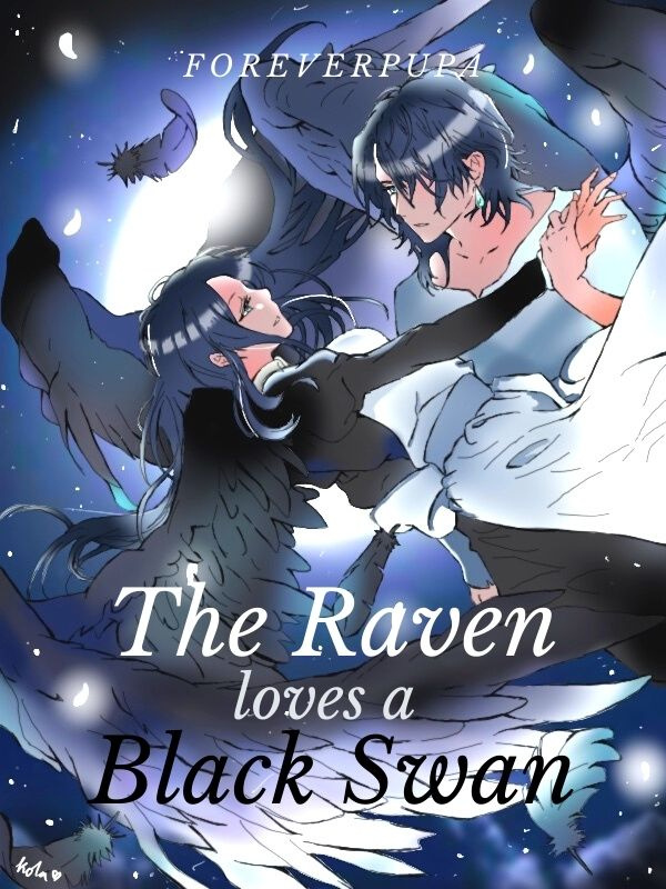 The Raven Loves A Black Swan