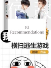 Bl Recommendations Book