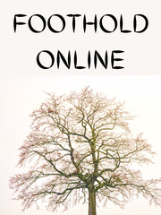 Foothold Online Book