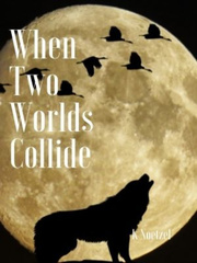 When Two World's Colide Book