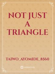 NOT JUST A TRIANGLE Book
