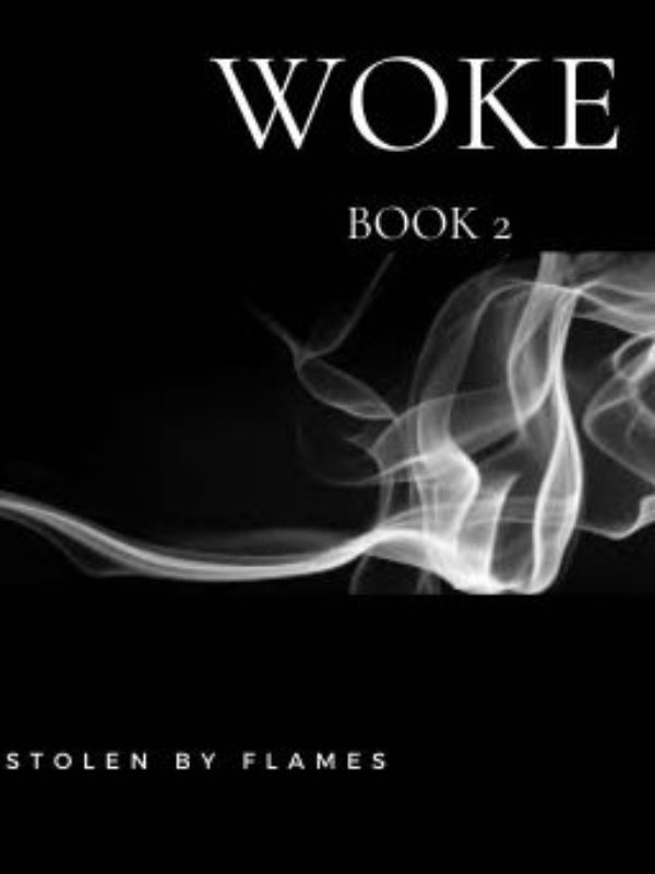 Stolen by flames Book