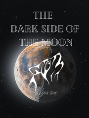 The Dark Side of the Moon Book