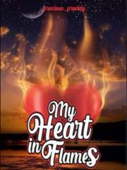 My heart in flames Book