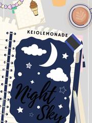 Night Sky Book