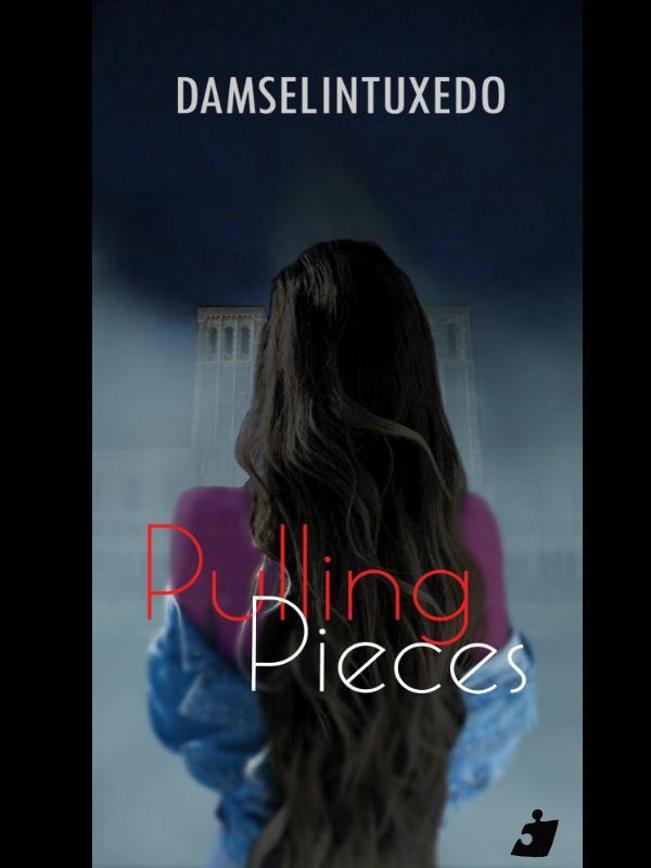 Pulling Pieces (girlxgirl) Book 1 Puzzle Pieces Book