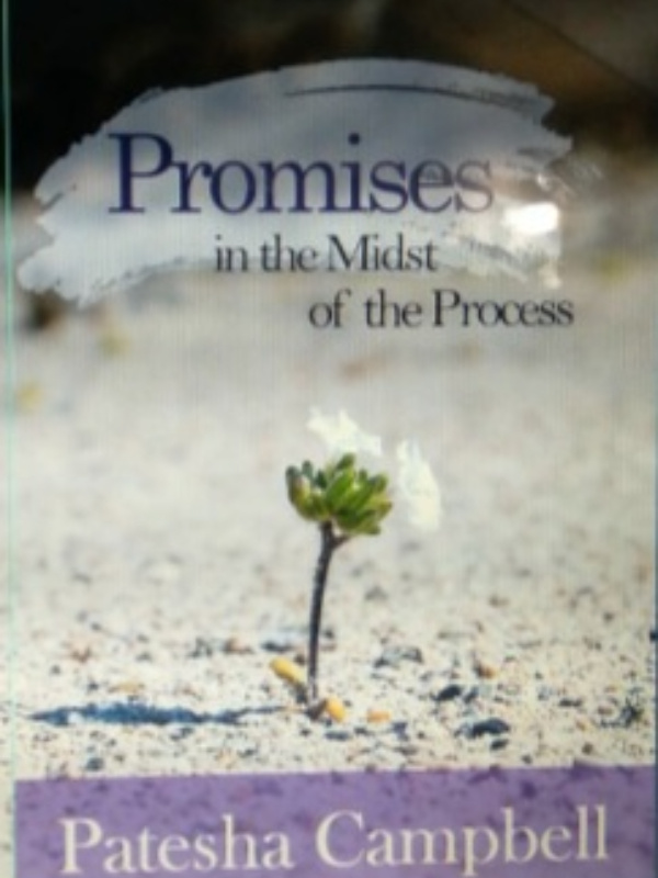 PROMISES IN THE MIDST OF THE PROCESS