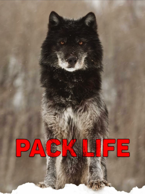 Pack Life (LitRPG) Book