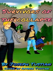 Survivors of the collapse Book
