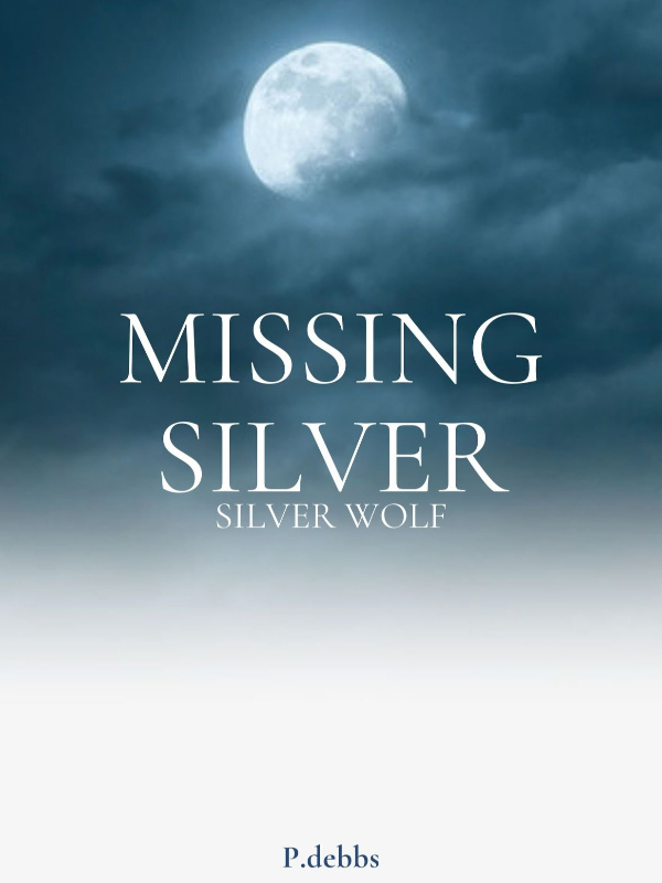 Missing Silver Book