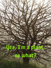Yes, I'm a plant, so what? Book