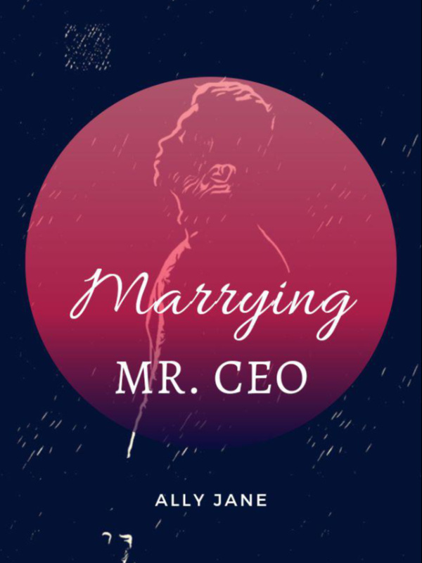 Marrying Mr CEO Book