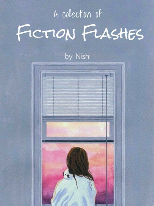 Fiction Flashes Book