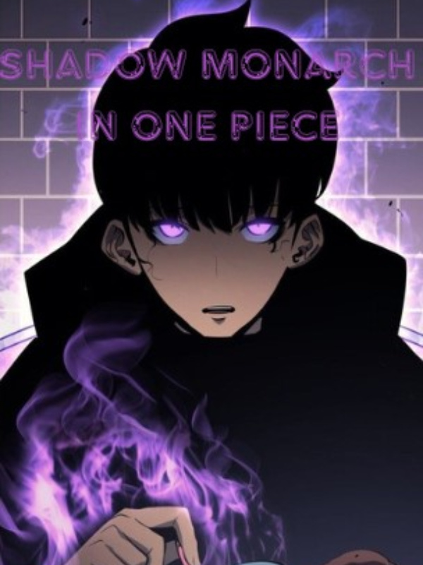 Shadow Monarch in One Piece world