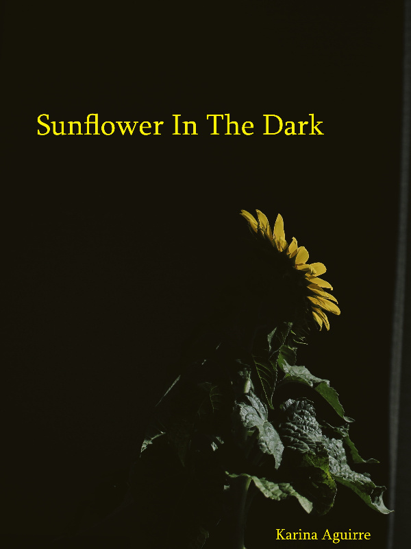 Sunflower In The Dark Book