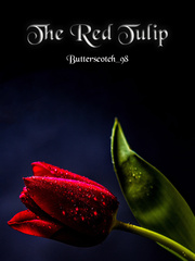 The Red Tulip Book